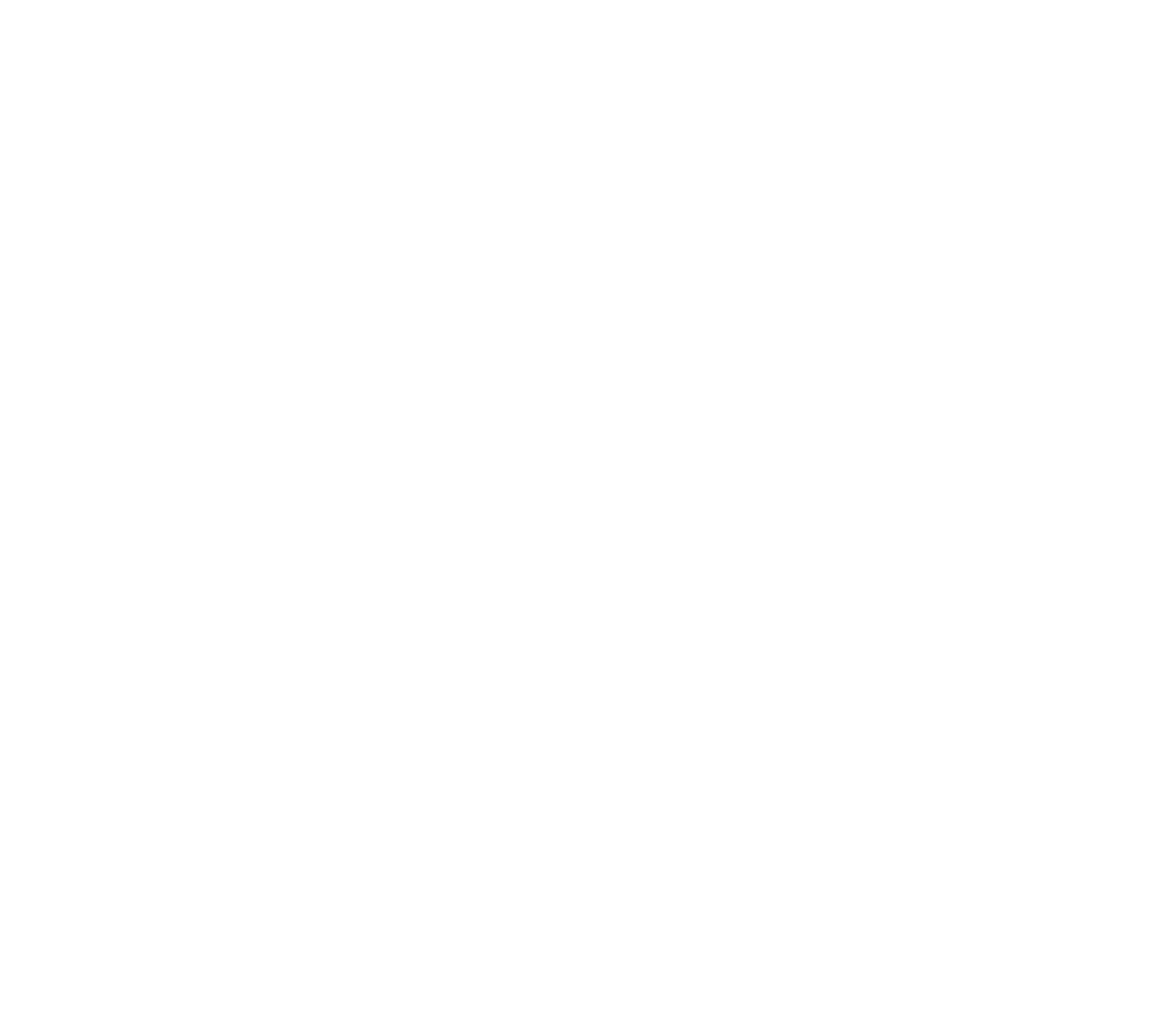 Vega Force Company