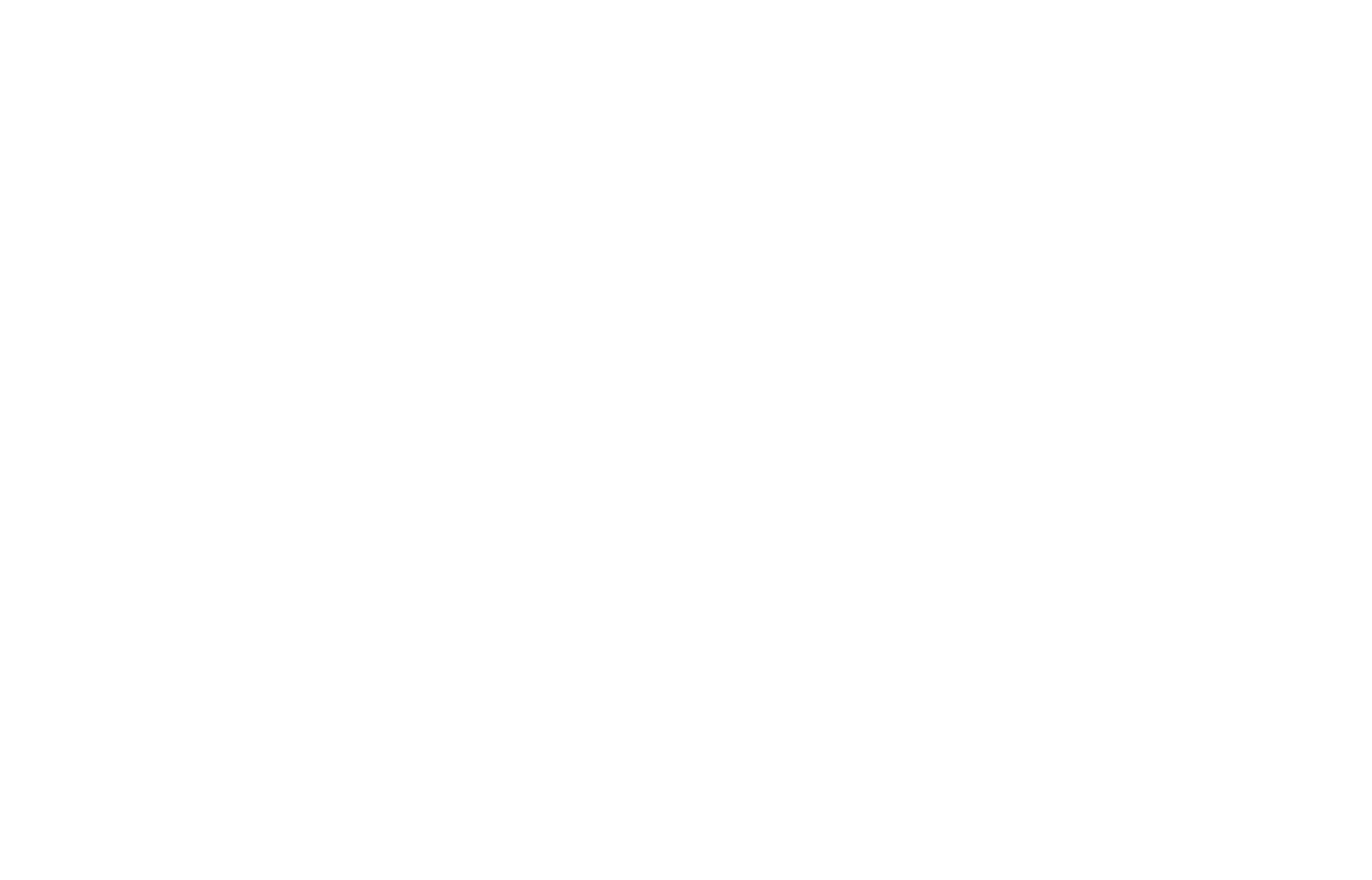 Hard Punisher
